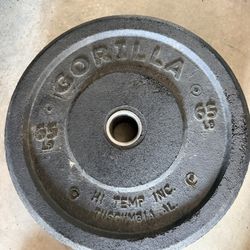 Rogue Fitness 65lb Gorilla Bumper Plates (Pair)