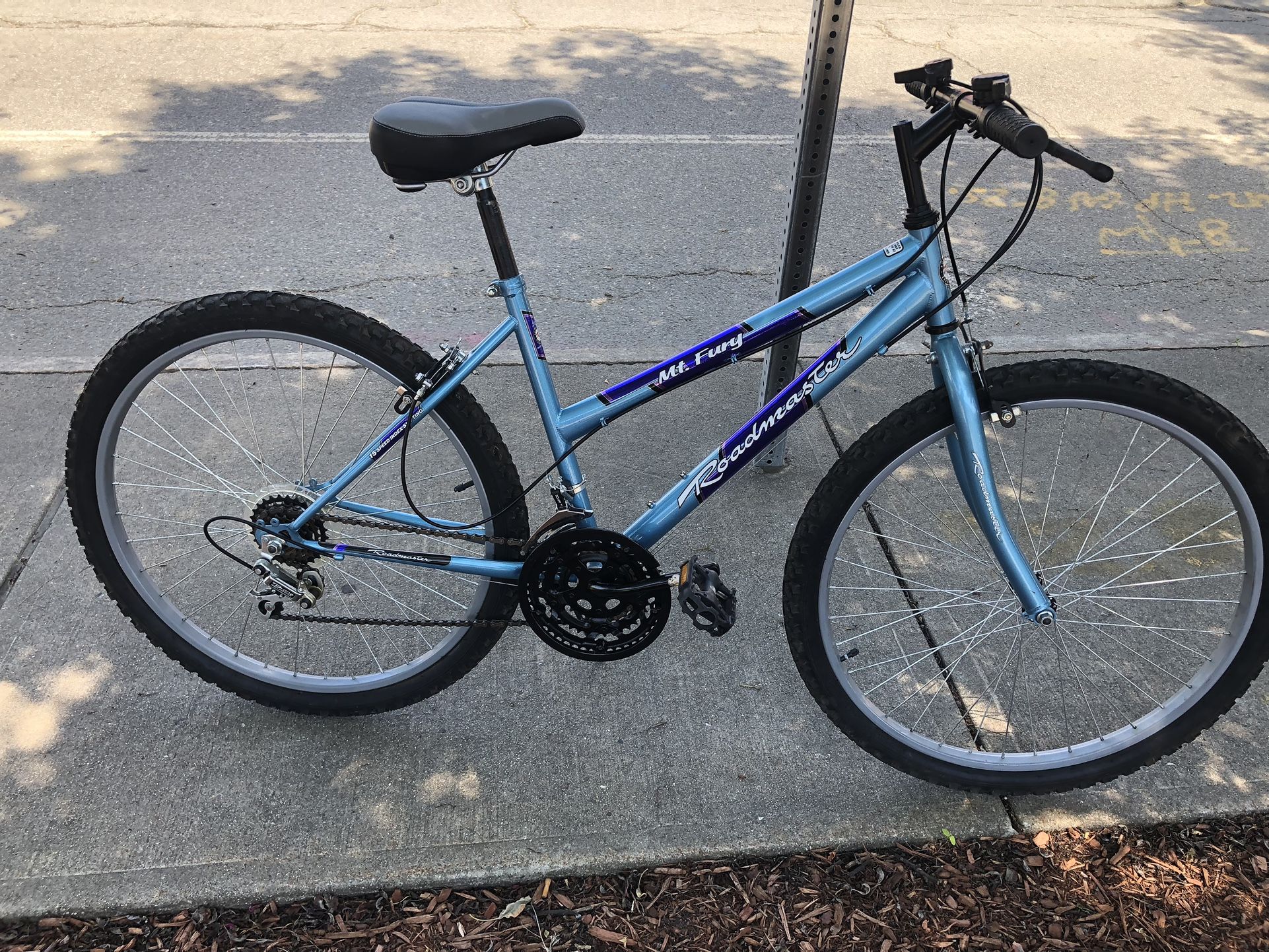 Roadmaster Mt. Fury