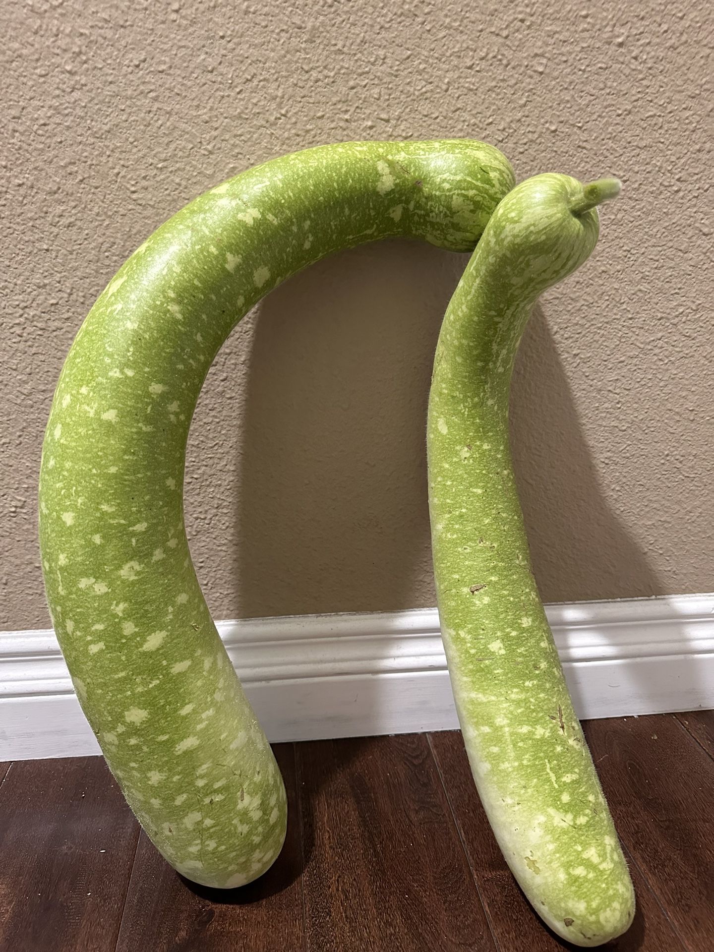 Trai Bau (Long gourd )
