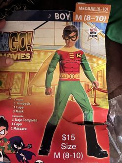 Robin Costume