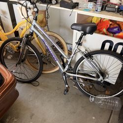 Schwinn Girl Bike 24 Inch New