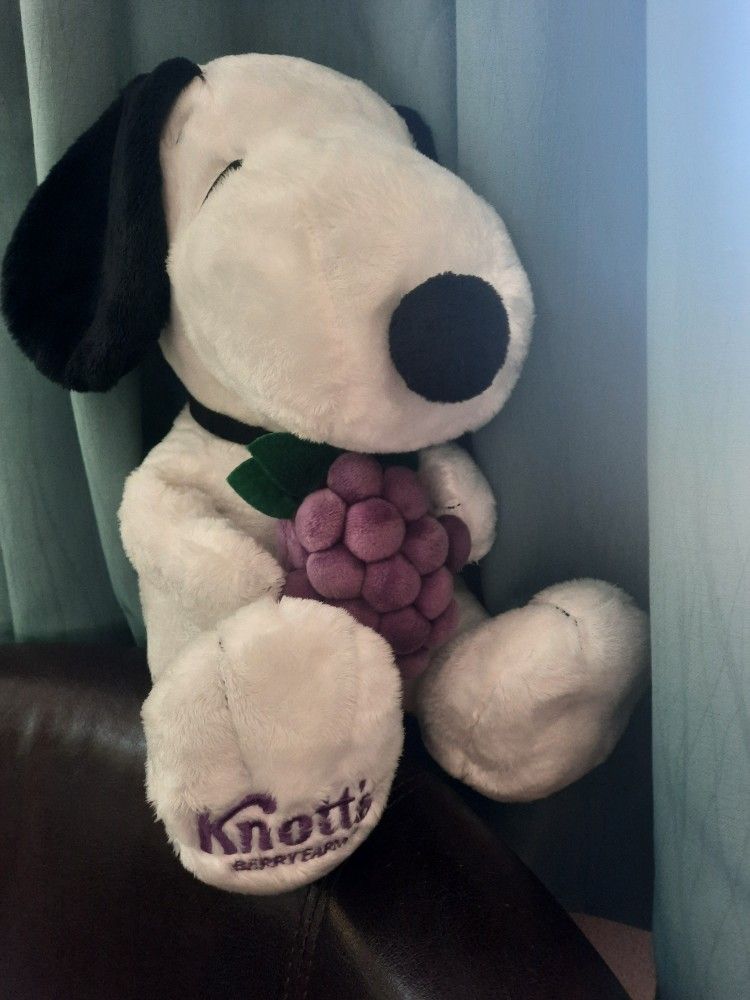 Boysnberry Knott's Berry Farm Snoopy Plush Approx. 14 1/2" H X 7 1/2" W