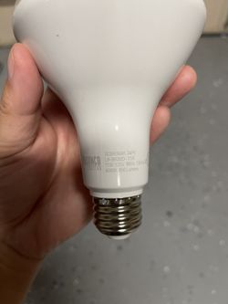 SUNCO LED Bulb,4000k Cool White. Pack Of 12.