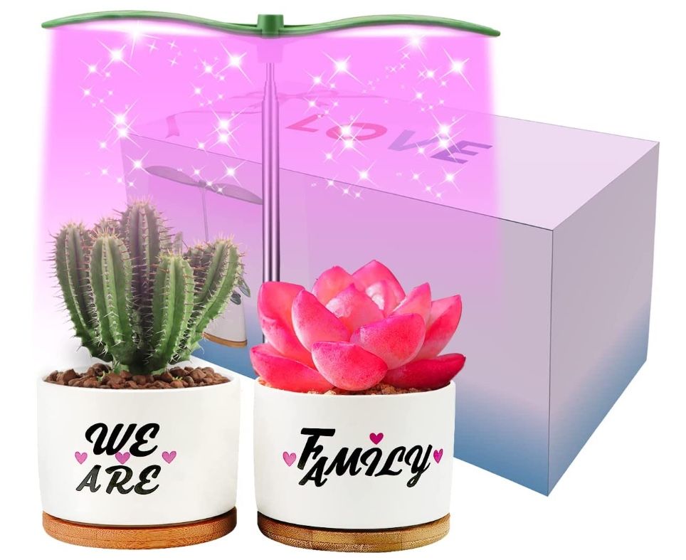 New Succulent Pots with Grow Lights 3.54” White Ceramic Small Flower Pots with Bamboo Tray