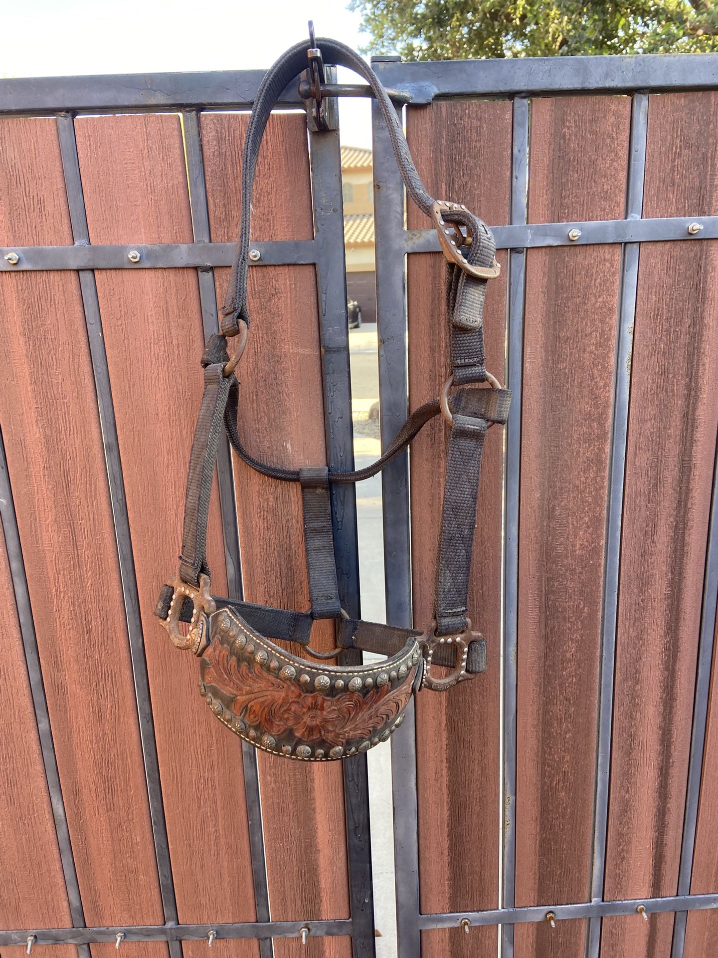 Horse Halter