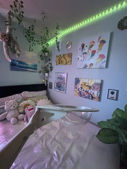 Wall Mounted Acrylic Shelf Bed