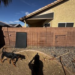 Xl Dog Crate 50 Inches