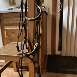 Regal Dressage Bridle. Black With White. Horse Size. 