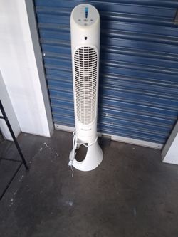 Fan