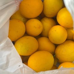 Meyer Lemons - Organic 
