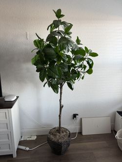 Planta Artificial