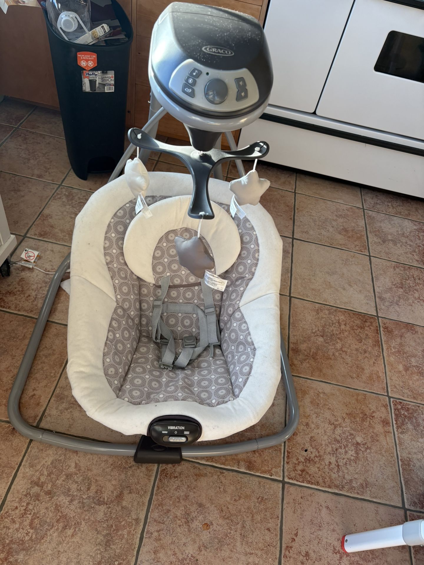 Graco Swing