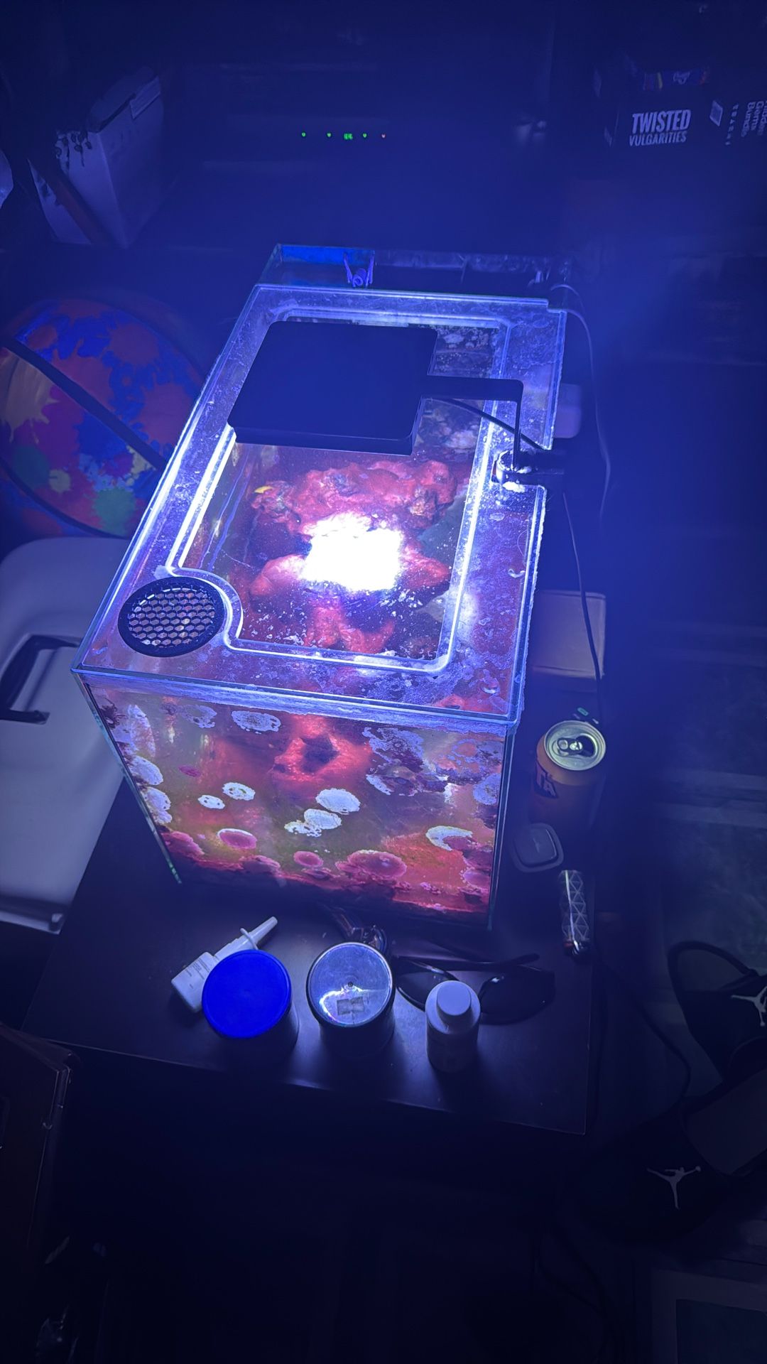 Salt Water Fish Tank With Fish And Coral