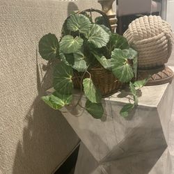 Wicker Basket And Faux Plant Only 