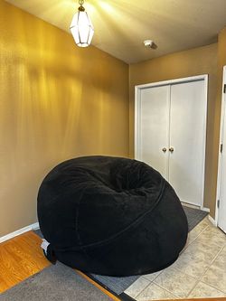 LoveSac Bean Bag
