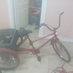 Adult Trike Huffy