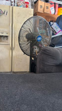 Shop FAN