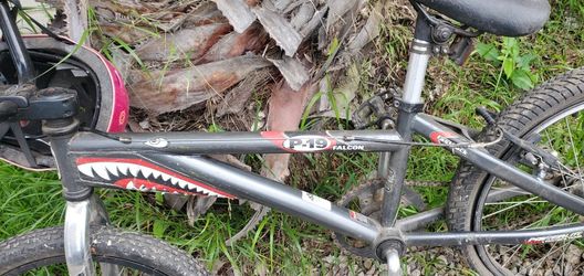 P19 Falcon Bike