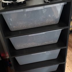 Snake Rack