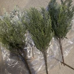 Stoebe Stems (Price Is For 3 Picks/Stems)