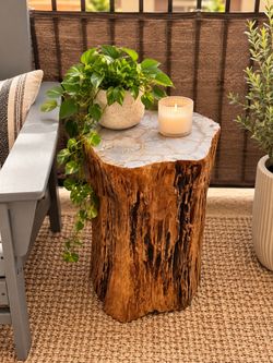 23” Natural Tree Stump Side Table