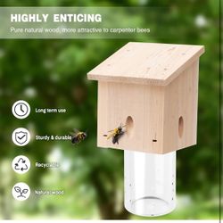 Bee trap/ insect traps 4-pack