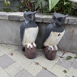 Owl Ornaments Back Yard