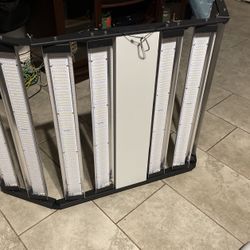Plant Grow Light 