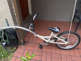 Schwinn Hitchhiker Tag-A-Long Youth Bike