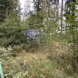 Lot Clearing