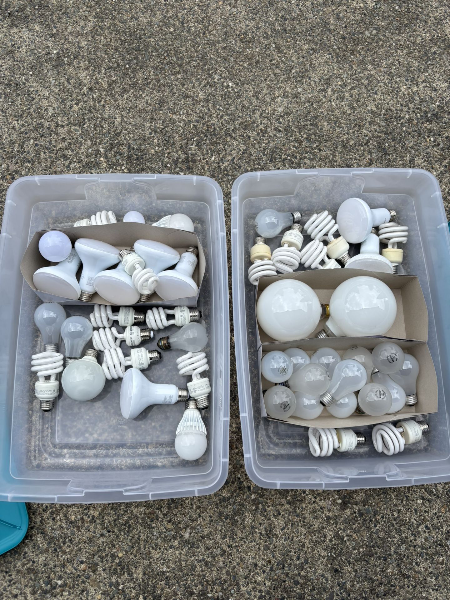 Assorted Light Bulbs