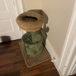 Cat Sleep A Play Place