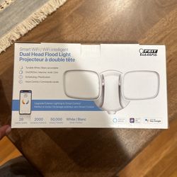 FEIT Smart WiFi Flood Light