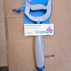 Disneyland Interactive Key