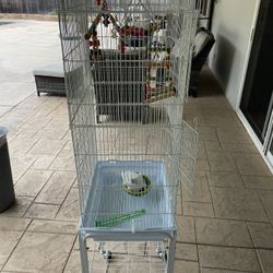 Bird Cage 