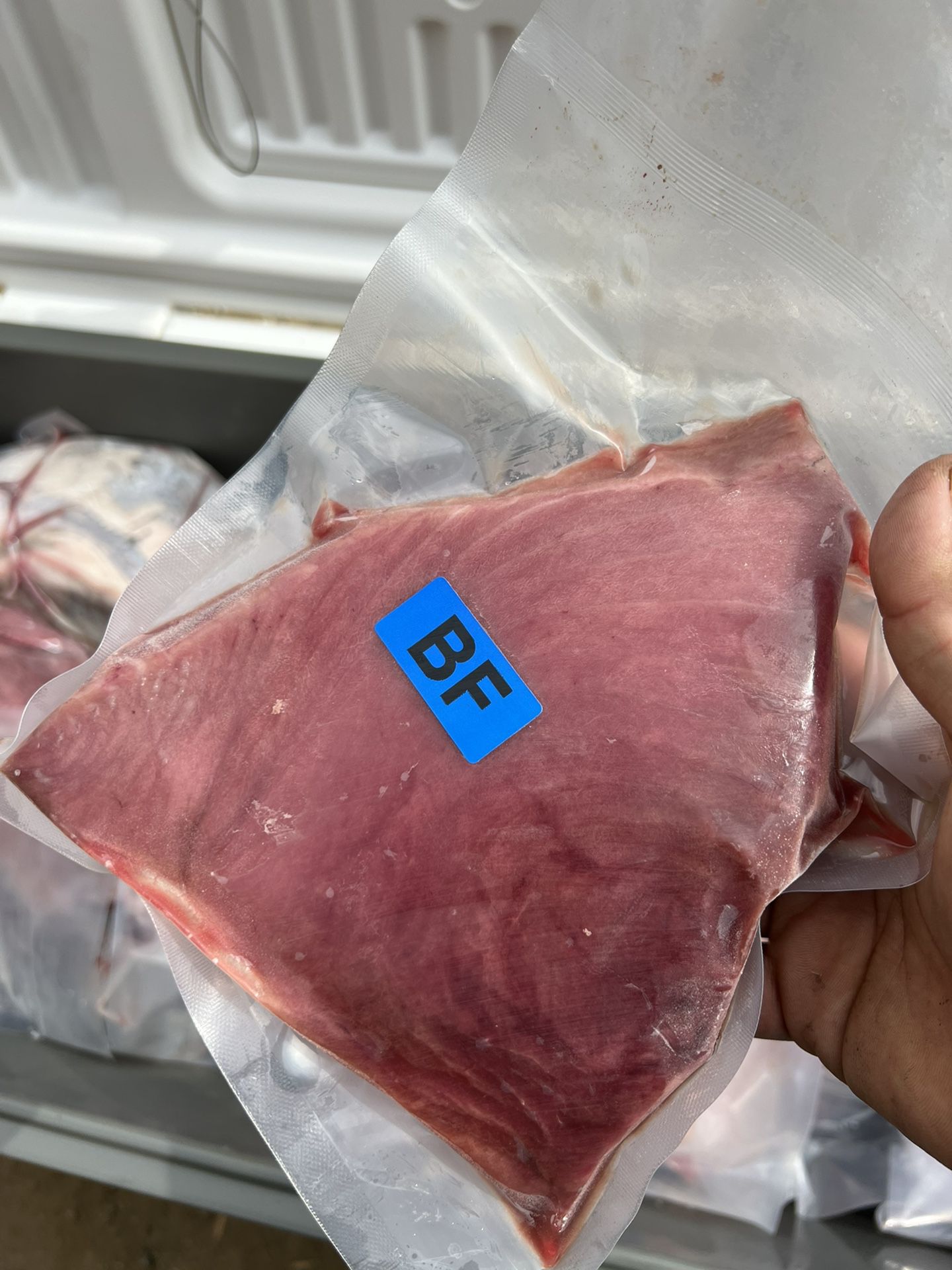 Fresh Bluefin Tuna 🍣 