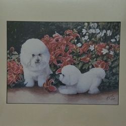 A Pair Of Bichon Frise Fluffy Dogs Print Not Framed 