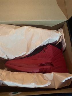 Brand new Jordan 12