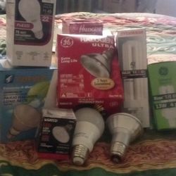 LED ,Halogen ,Fluorescent  All Size Light Bulbs