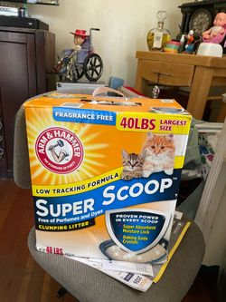 Cat scoop