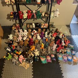 Beanie Baby Collection 