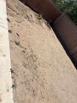 Turf for sale