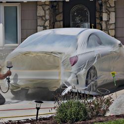 Auto Body Paint