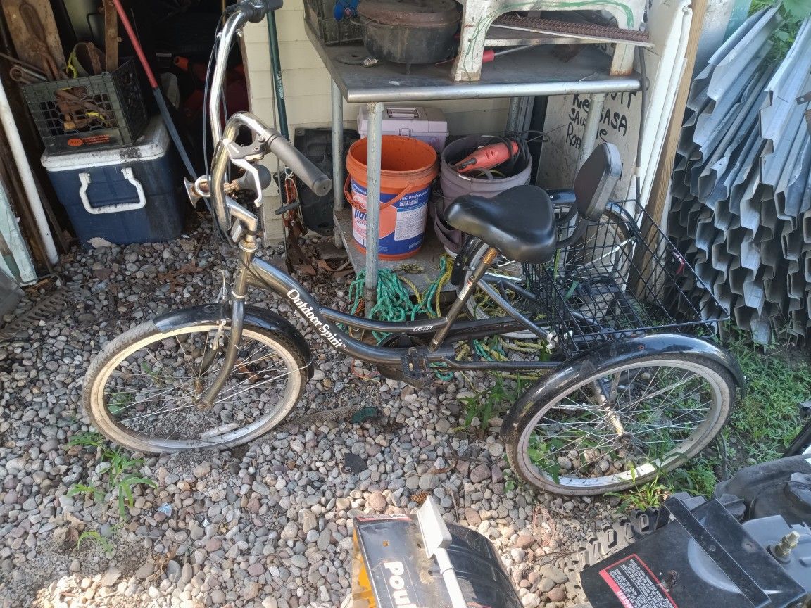Adult Tree Wheel Bike