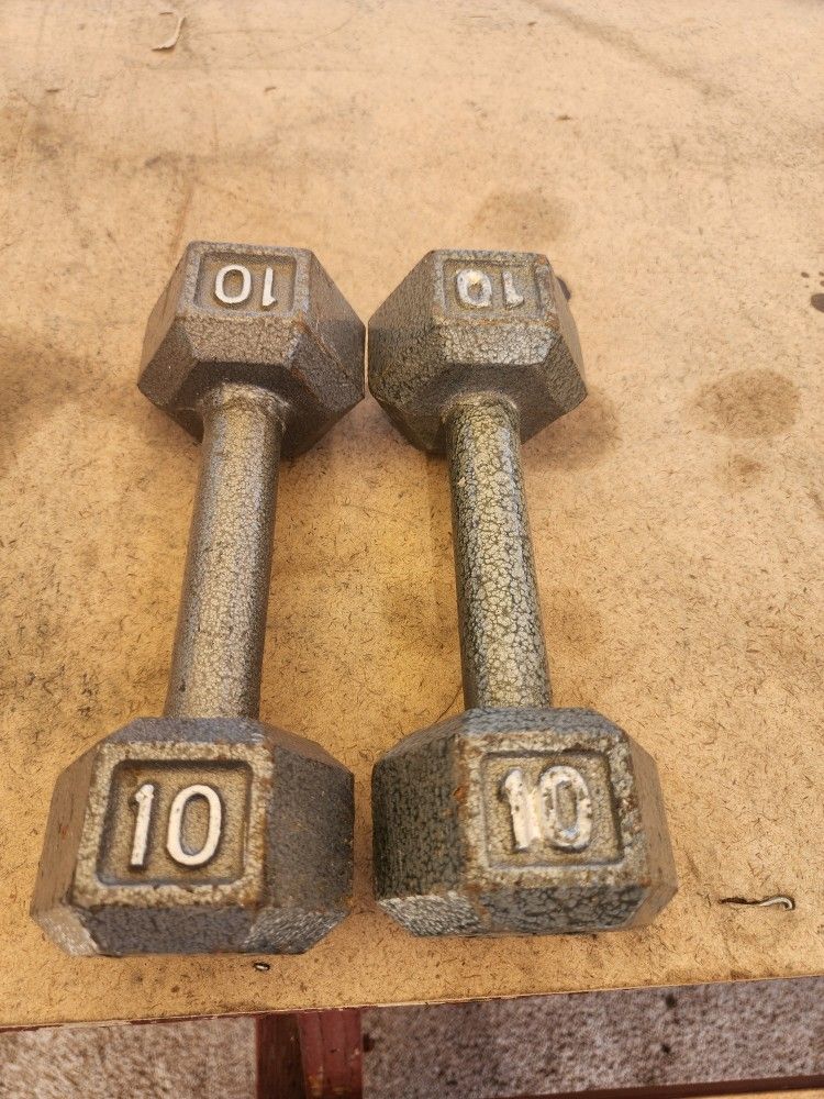 10 L. Dumbbell