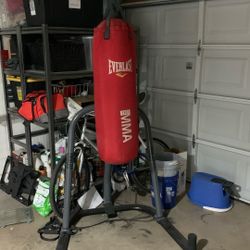 Punching Bag/stand 