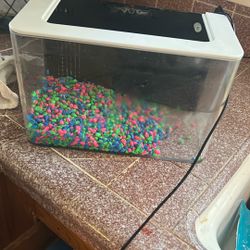 fresh water 5 gallon tank beginner tank with light filter built in 