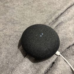 Google Home 1st Generation Ne Portland 