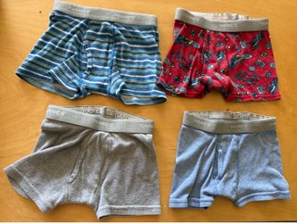4 Hanes underwear: 2T/3T & 4T