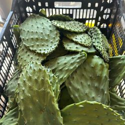 Nopales Reform Cortados 4xdolar